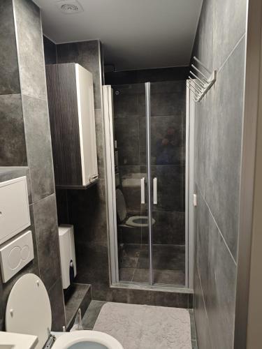 a bathroom with a shower and a toilet at Zimmervermietung-Nbg in Nürnberg