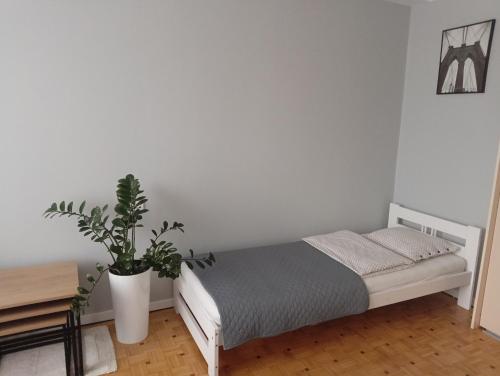 Posteľ alebo postele v izbe v ubytovaní Apartament Alga Zator