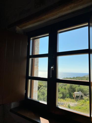 a window with a view of a horse through it at Koukouri Village in Kafióna