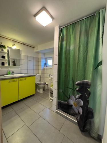 a bathroom with a shower with a sink and a toilet at Liliana Apartman és Csónakház in Badacsonytomaj