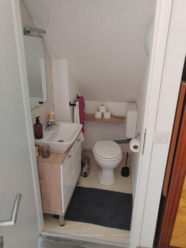 a small bathroom with a toilet and a sink at Kuća za odmor Pinka House in Sveti Ivan Zelina
