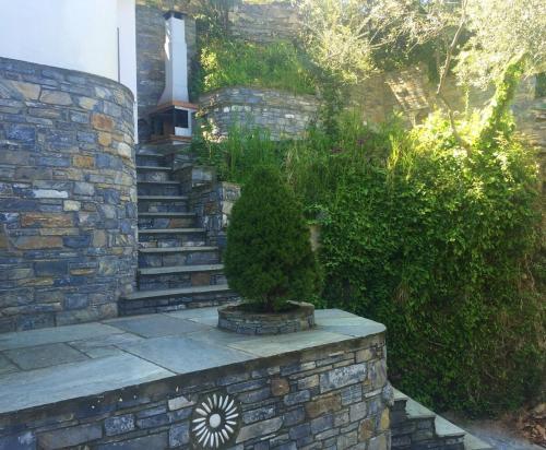 a stone stairway with a shrub in a yard at Amazing seaside beach home in the best location in Agios Ioannis Pelio