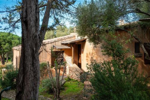 una vista exterior de una casa con un árbol en Caletta Nest 38, en Porto Rotondo