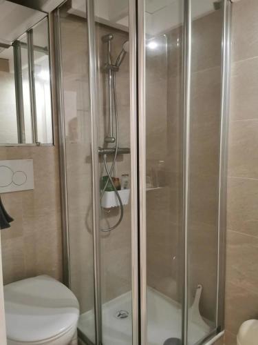 une cabine de douche dans une salle de bain avec toilettes dans l'établissement Ton petit coin de paradis avec balcon au Trouville Palace, à Trouville-sur-Mer