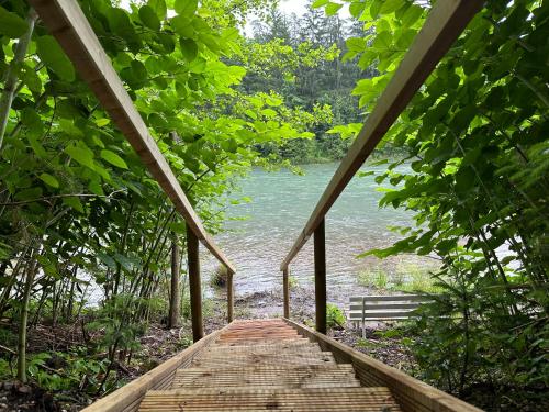 a wooden walkway leading to a river with trees at FACT Apartments in Arnoldstein