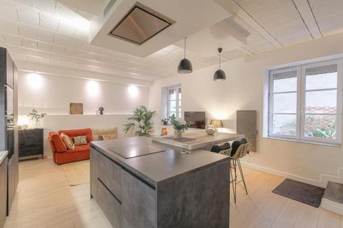 - une cuisine et un salon avec un îlot dans la chambre dans l'établissement Le Cocon du Papillon Bleu I 2 suites parentales avec terrasse en plein coeur de Lyon I Parking inclus, à Lyon