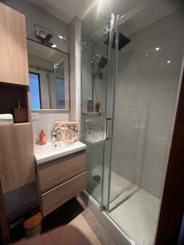 une salle de bain avec douche et lavabo dans l'établissement Appartement Parisian Chic, à Paris