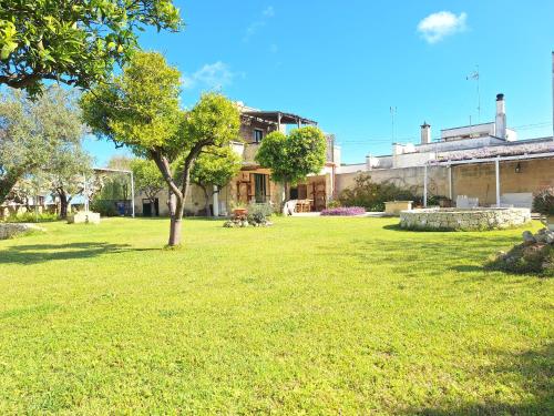 a yard with a tree in front of a building at Masseria Li Camerini in Vanze