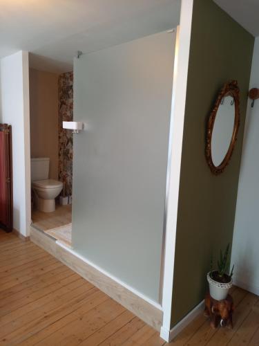 a bathroom with a toilet and a mirror on the wall at Villa Stella Maris in Ostend