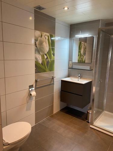 a bathroom with a sink and a toilet and a mirror at Gîte de la Ferme de Lexhy in Stavelot