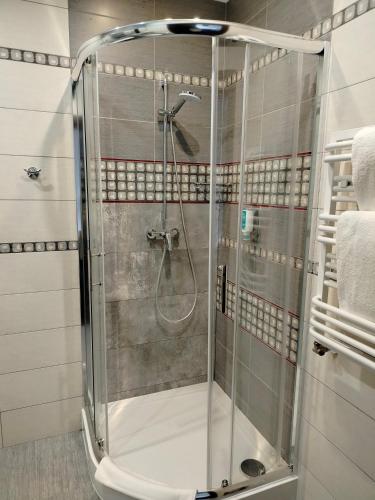a shower with a glass door in a bathroom at Hotel Sokołowska Airport Modlin in Nowy Dwór Mazowiecki