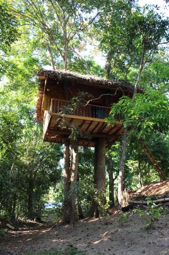 Gallery image of Tree House-Midigama in Weligama