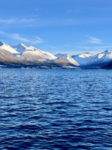 a large body of water with snow covered mountains at Bispen Villa Utsikten in Åndalsnes