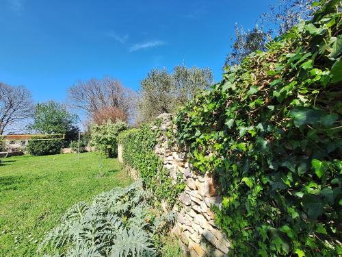 a stone wall covered in ivy on a field at Calma di Medulin in Medulin