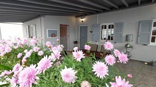 Emilia's Guest House