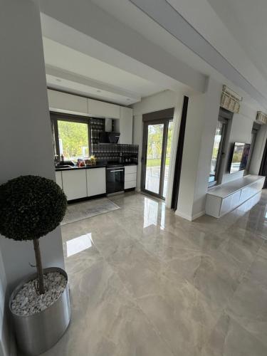 a large living room with a plant in a pot at Canyon Villa Göynük Kemer Antalya with Pool in Antalya