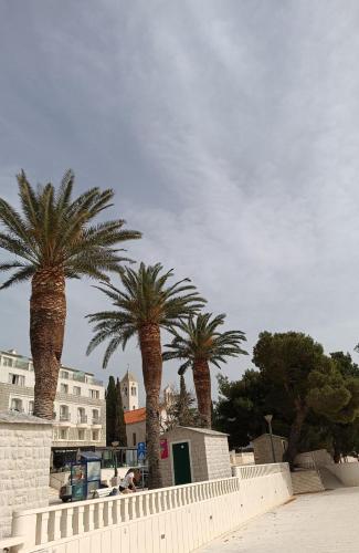 a group of palm trees in front of a building at Apartment TIM Baška Voda in Baška Voda