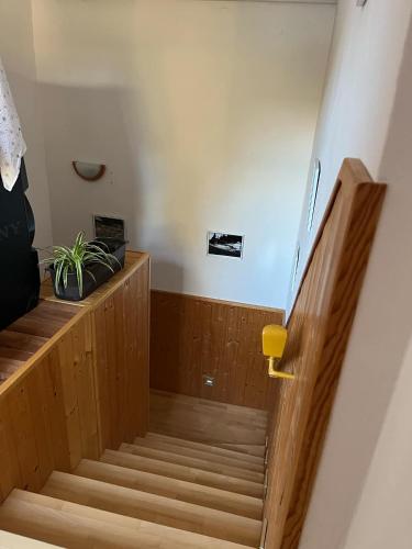 a staircase in a room with wooden stairs at Apalucha119 in Ludvíkov