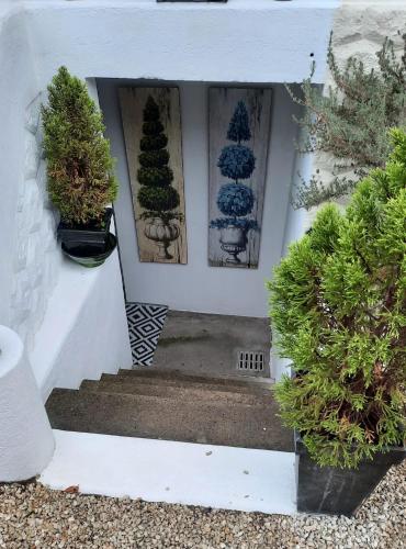 un ensemble de trois plantes en pot sur un escalier dans l'établissement Le Petit Nicol, à Bergerac