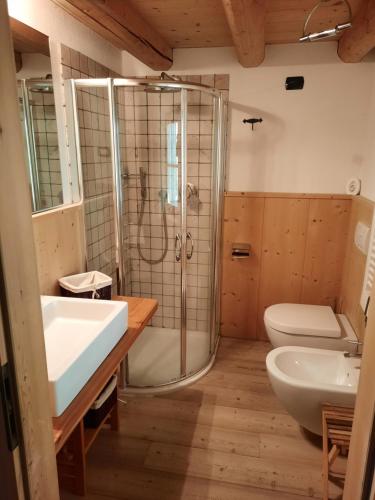 a bathroom with a shower and a sink and a toilet at Tabià Su'n Coi in Alleghe