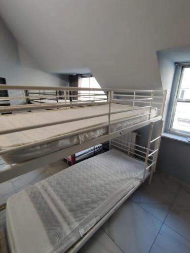 two empty bunk beds in a room with a window at Lion University & Youth Hostel Milano in Milan