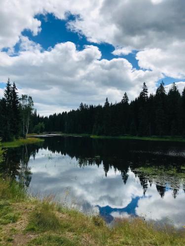 Příroda nedaleko apartmánu
