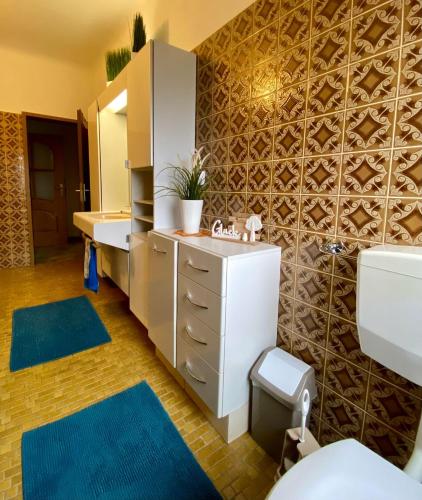 a bathroom with a sink and a toilet at Zum-Altbreitenfelderhof in Altbreitenfelderhof