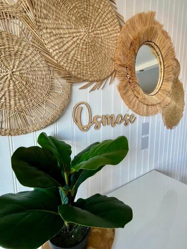 Cap D'agde Naturiste Heliopolis 2 à 4 Personnes Appartement OSMOSE