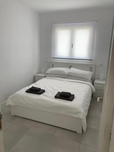 Apt 11