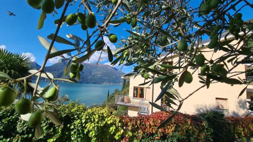 a view of a lake and a house at Villa gli Ulivi - Bariloche Lake & Mountain View in Perledo