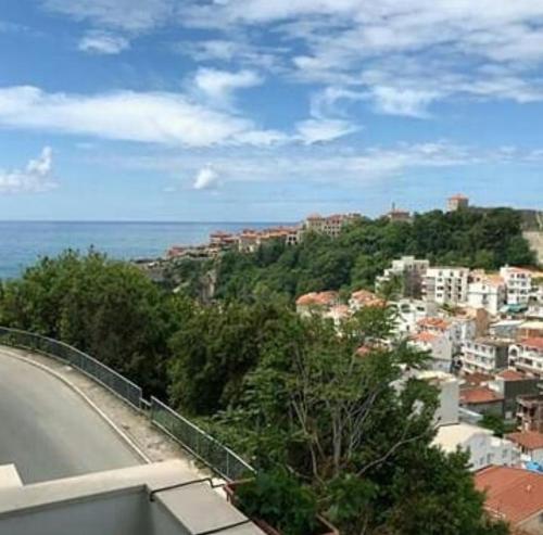 a view of a city with the ocean and a road at Mediterano Apartments in Ulcinj