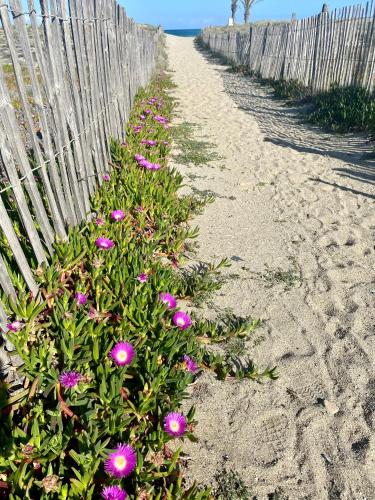 Une rangée de fleurs violettes sur une clôture dans l'établissement Maison à deux pas de la plage, au Barcarès