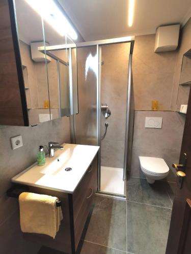 a bathroom with a shower and a sink and a toilet at Ferienwohnung Winklhofer in Mondsee