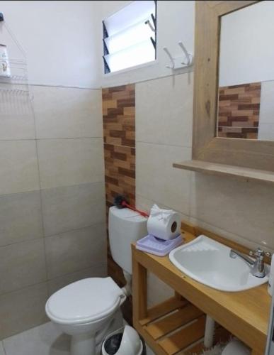 a bathroom with a toilet and a sink and a mirror at Monoambiente temporario HB in Roque Sáenz Peña