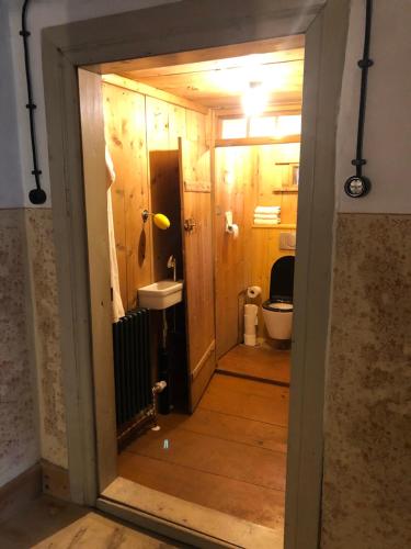 a bathroom with a sink and a toilet in a room at Floras Haus Hostel in Schattwald