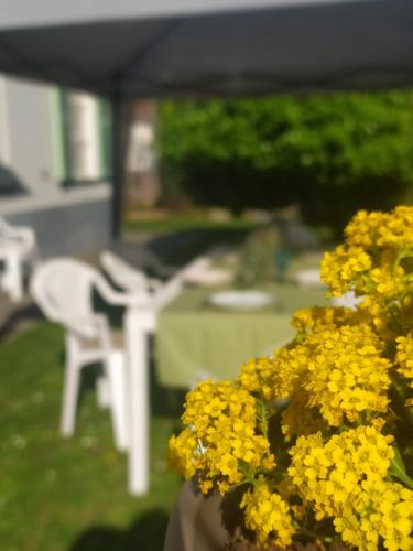 a bunch of yellow flowers in a vase at La casa nel Monferrato "LA CONTENTËSSA" in Asti