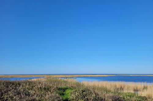 - une vue sur une étendue d'eau dans l'établissement Tipoz'Immo Avel Moor sea view beach on foot ideal for groups, à Tréogat
