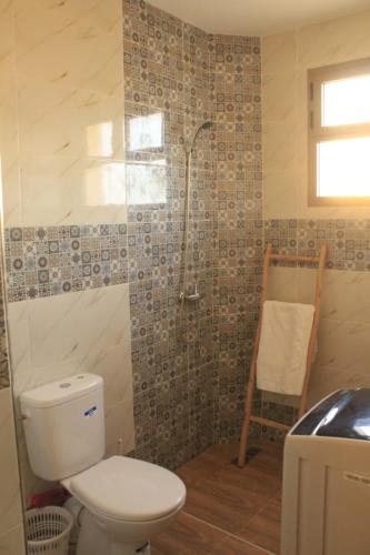 a bathroom with a toilet and a shower and a sink at tamazirt surf in Agadir