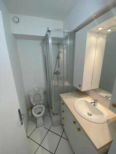une salle de bain avec toilettes, douche et lavabo dans l'établissement Ben's Studio Lac de Créteil, à Créteil