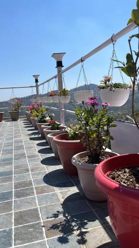 a row of potted plants sitting on a balcony at EcoEscape Mukteshwar in Mukteswar