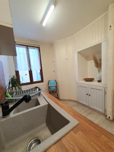 une grande cuisine avec évier et comptoir dans l'établissement Charmant Appartement T2 au rez de chaussée, à Vendeuvre-sur-Barse