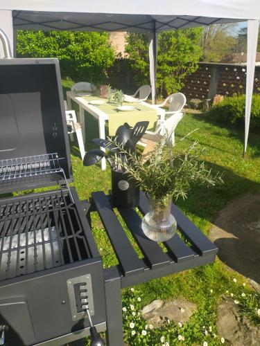 a grill with a laptop on a table in a yard at La casa nel Monferrato "LA CONTENTËSSA" in Asti