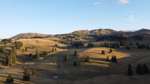 an aerial view of a field with trees and mountains at Villa Maglić Vlašić in Vlasic