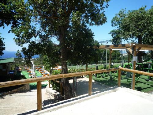 a park with a tree and a roller coaster at Villa Claudia in Anacapri