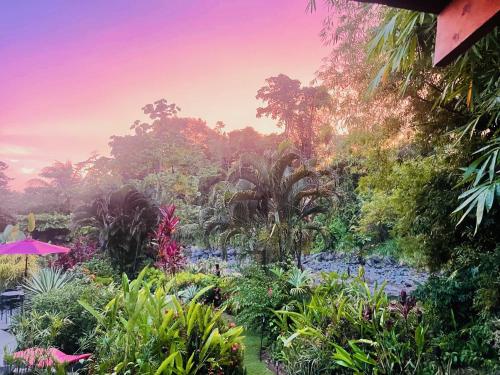 a garden with plants and trees in the background at Sloth Premium Riverfront Jungle Villa with Jacuzzi and Pool in Uvita