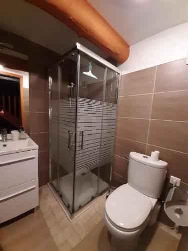a bathroom with a shower and a toilet and a sink at La Maisonnette in Présailles