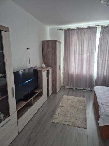 sala de estar con TV de pantalla plana y cama en Paul's Houses, en Ocna-Mureşului