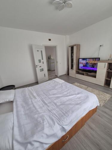 Un dormitorio con una cama grande y un televisor de pantalla plana. en Paul's Houses, en Ocna-Mureşului