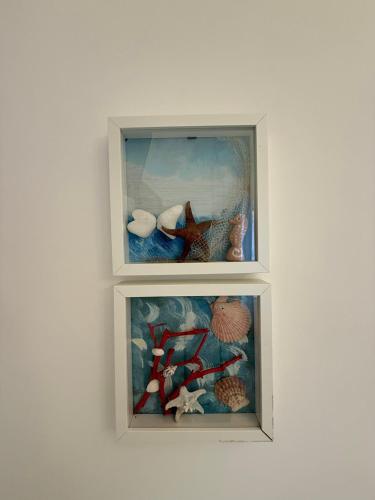 two shelves with different types of shells on a wall at Casetta Azzurra in Monopoli
