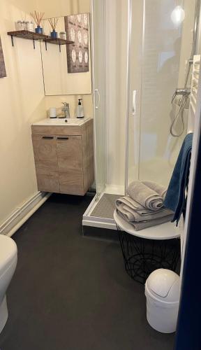 une salle de bain avec une douche, des toilettes et un lavabo dans l'établissement Le phare des barges, à Les Sables-dʼOlonne